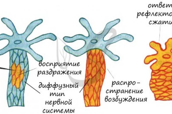 Кракен ссылка что это