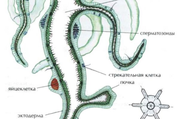 Кракен площадка ссылка