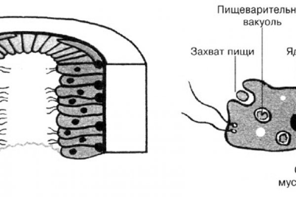 Kraken 4 ссылка