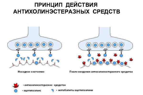 Ссылка на kraken торговая площадка