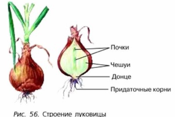 Kraken13 at сайт